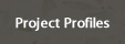 Project Profiles