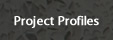 Project Profiles