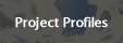 Project Profiles