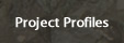 Project Profiles