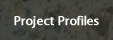 Project Profiles