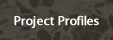 Project Profiles